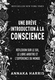 Une brève introduction à la conscience 