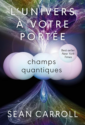 L'univers à votre portée  - Sean Carroll - Quanto